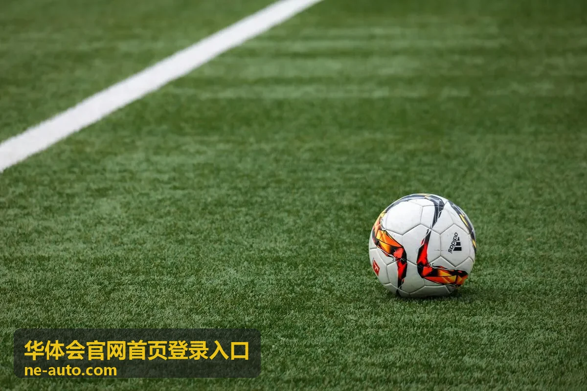 华体会官网首页登录入口桌面客户端启动界面示意