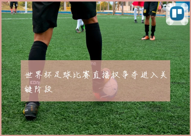 世界杯足球比赛直播权争夺进入关键阶段